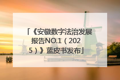 《安徽数字法治发展报告NO.1（2025）》蓝皮书发布