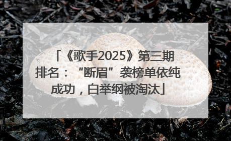 《歌手2025》第三期排名：“断眉”袭榜单依纯成功，白举纲被淘汰