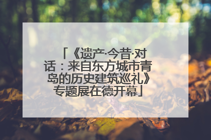 《遗产·今昔·对话：来自东方城市青岛的历史建筑巡礼》专题展在德开幕