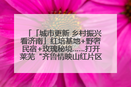 「城市更新 乡村振兴看济南」红培基地+野奢民宿+玫瑰秘境……打开莱芜“齐鲁情映山红片区”的破圈秘籍