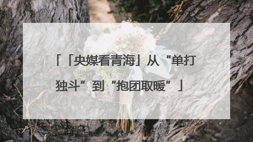 「央媒看青海」从“单打独斗”到“抱团取暖”