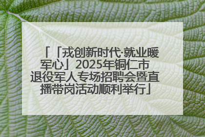 「戎创新时代·就业暖军心」2025年铜仁市退役军人专场招聘会暨直播带岗活动顺利举行