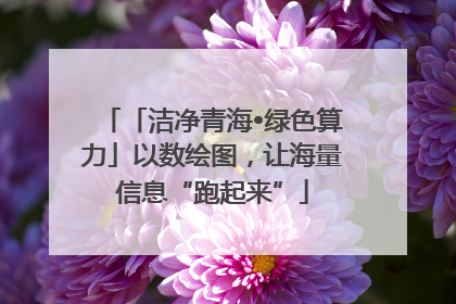 「洁净青海•绿色算力」以数绘图，让海量信息“跑起来”