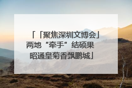 「聚焦深圳文博会」两地“牵手”结硕果 昭通皇菊香飘鹏城