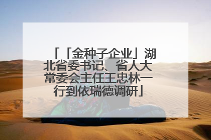 「金种子企业」湖北省委书记、省人大常委会主任王忠林一行到依瑞德调研