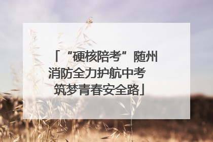 “硬核陪考”随州消防全力护航中考 筑梦青春安全路