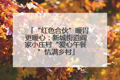 “红色合伙”暖胃更暖心：新城街道阎家小庄村“爱心午餐”情满乡村