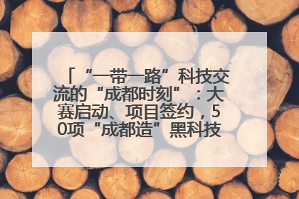 “一带一路”科技交流的“成都时刻”：大赛启动、项目签约，50项“成都造”黑科技吸引多国客商