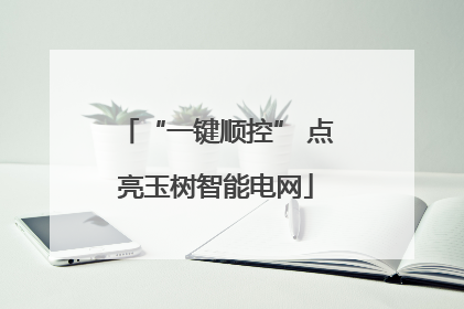 “一键顺控” 点亮玉树智能电网