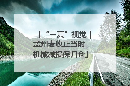 “三夏”视觉｜孟州麦收正当时 机械减损保归仓