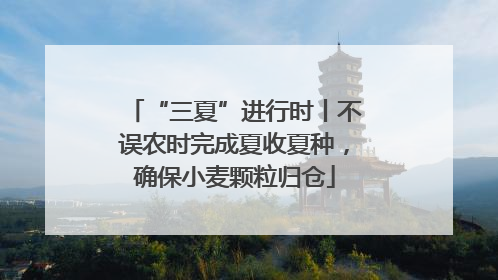 “三夏”进行时丨不误农时完成夏收夏种，确保小麦颗粒归仓