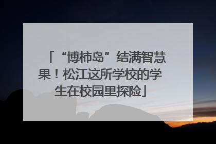 “博柿岛”结满智慧果！松江这所学校的学生在校园里探险