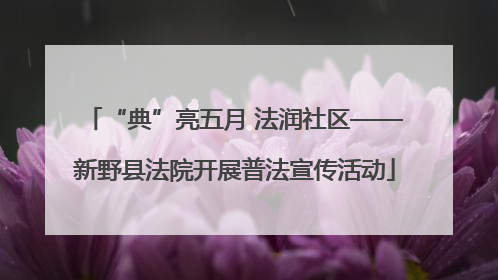 “典”亮五月 法润社区——新野县法院开展普法宣传活动