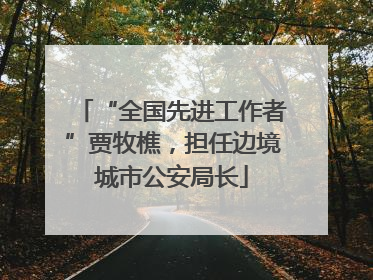 “全国先进工作者”贾牧樵，担任边境城市公安局长