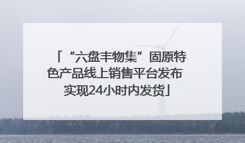 “六盘丰物集”固原特色产品线上销售平台发布 实现24小时内发货