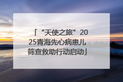“天使之旅”2025青海先心病患儿筛查救助行动启动