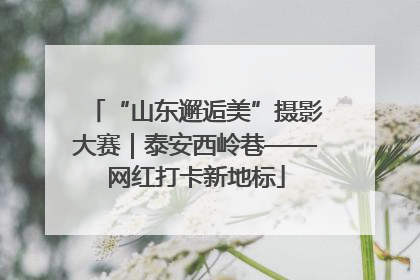 “山东邂逅美”摄影大赛｜泰安西岭巷——网红打卡新地标