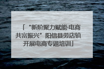 “新阶聚力赋能·电商共富振兴”阳信县劳店镇开展电商专题培训