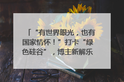 “有世界眼光，也有国家情怀！”打卡“绿色硅谷”，博主新解乐山｜网络名人四川行