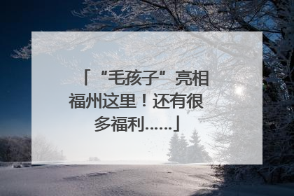 “毛孩子”亮相福州这里！还有很多福利……