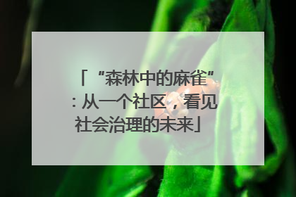 “森林中的麻雀”：从一个社区，看见社会治理的未来