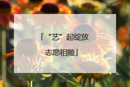 “艺”起绽放 志愿相随