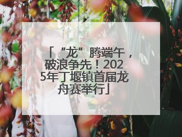 “龙”腾端午，破浪争先！2025年丁堰镇首届龙舟赛举行
