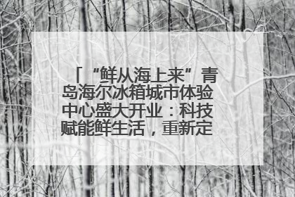 “鲜从海上来”青岛海尔冰箱城市体验中心盛大开业：科技赋能鲜生活，重新定义全球饮食未来