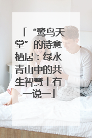 “鹭鸟天堂”的诗意栖居：绿水青山中的共生智慧丨有一说一