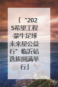 “2025希望工程·蒙牛足球未来星公益行”临沂站选拔圆满举行