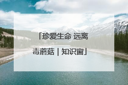 珍爱生命 远离毒蘑菇｜知识窗