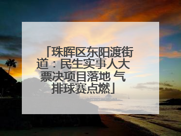 珠晖区东阳渡街道：民生实事人大票决项目落地 气排球赛点燃