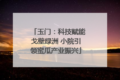 玉门：科技赋能戈壁绿洲 小院引领蜜瓜产业振兴
