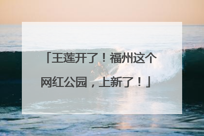 王莲开了！福州这个网红公园，上新了！