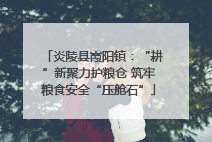炎陵县霞阳镇：“耕”新聚力护粮仓 筑牢粮食安全“压舱石”