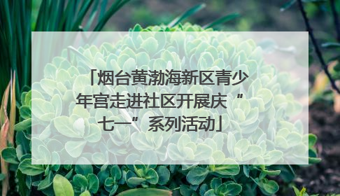 烟台黄渤海新区青少年宫走进社区开展庆“七一”系列活动
