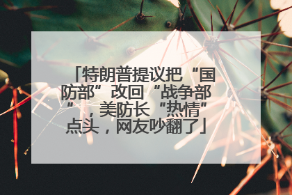 特朗普提议把“国防部”改回“战争部”，美防长“热情”点头，网友吵翻了