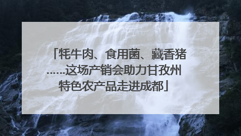 牦牛肉、食用菌、藏香猪……这场产销会助力甘孜州特色农产品走进成都
