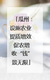 瓜州：设施农业提质增效 促农增收“钱”景无限
