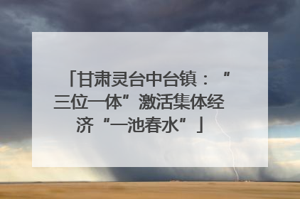 甘肃灵台中台镇：“三位一体”激活集体经济“一池春水”
