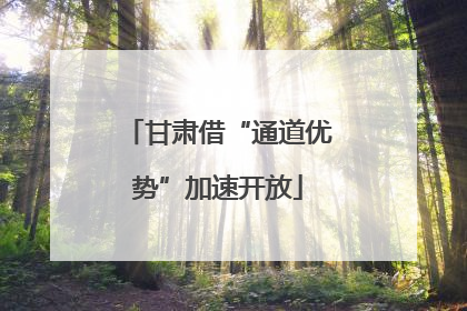 甘肃借“通道优势”加速开放