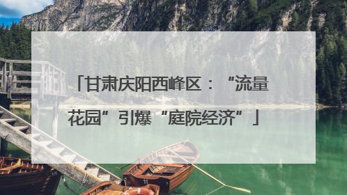 甘肃庆阳西峰区：“流量花园”引爆“庭院经济”