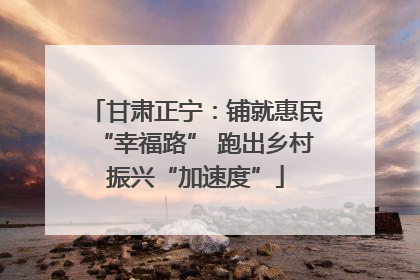 甘肃正宁：铺就惠民“幸福路” 跑出乡村振兴“加速度”