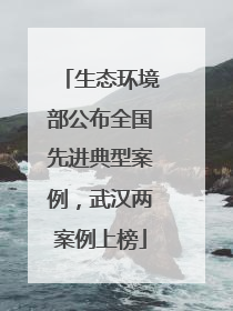 生态环境部公布全国先进典型案例，武汉两案例上榜
