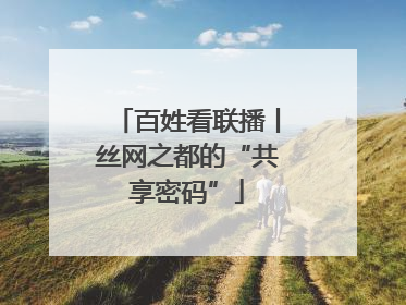 百姓看联播丨丝网之都的“共享密码”