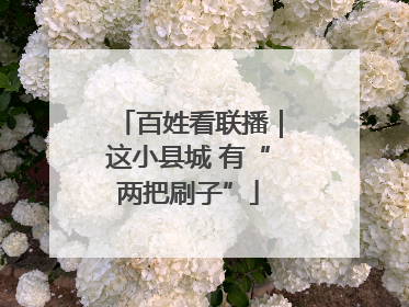 百姓看联播｜这小县城 有“两把刷子”