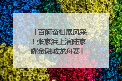 百舸奋楫展风采！张家浜上演陆家嘴金融城龙舟赛