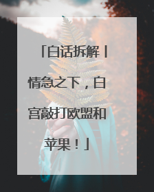 白话拆解丨情急之下，白宫敲打欧盟和苹果！