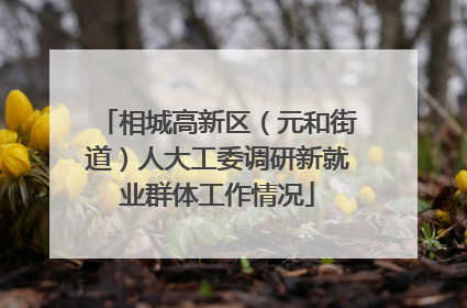 相城高新区（元和街道）人大工委调研新就业群体工作情况