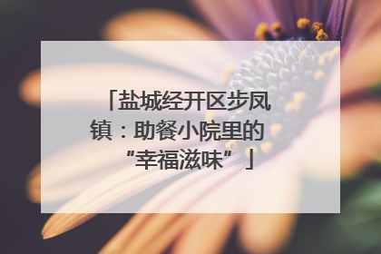 盐城经开区步凤镇：助餐小院里的“幸福滋味”